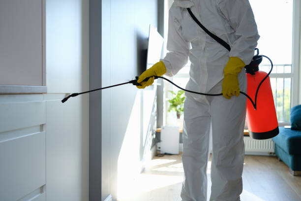 Best Home Mold Removal  in West Falmouth, MA